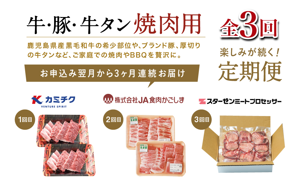 【厳選焼肉定期便】黒毛和牛・ブランド豚・牛タン 全3回コース 牛肉 焼肉 焼き肉 BBQ バーベキュー 豚肉 バラ ロース 牛タン お肉 小分け 冷凍 定期配送 カミチク スターゼン JA食肉かごしま