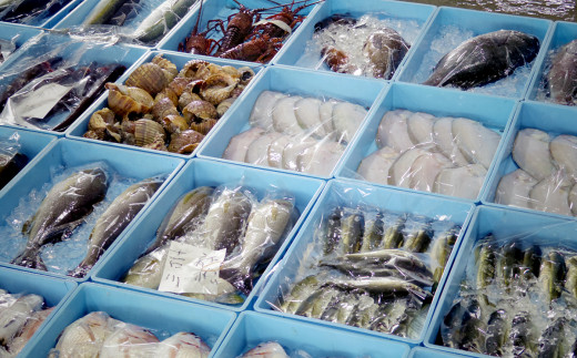豊後水道の荒波に揉まれた鮮魚はとても美味です！