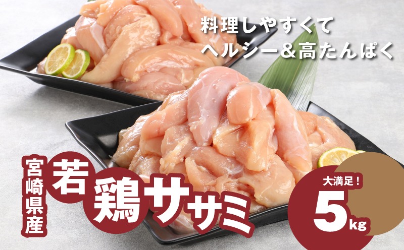 スピード発送!!２週間以内に発送　宮崎県産若鶏ささみ　1kg×5パック　 K16_0045_2