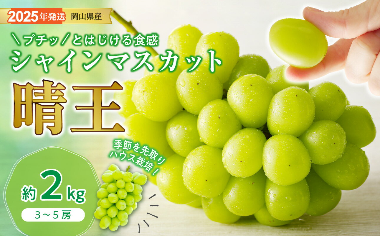 【ふるさと納税】シャインマスカット 晴王 ハウス栽培 約2kg 岡山県産 ぶどう御中元 ギフト 御礼 プレゼント 御礼 御祝 御供 果物 くだもの フルーツ　Fg-9