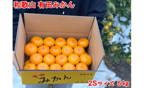 ［秀品・サイズ２Ｓ］まる隆果樹園　和歌山有田産！早生みかん≪5ｋｇ≫［予約販売］［数量限定］