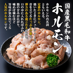 国産 黒毛和牛 ホルモン 計800g(200g×4P)&ゆず胡椒(1個) 牛肉 【ナンチク】A996
