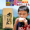 【ふるさと納税】※令和6年産 新米予約※《定期便8ヶ月》秋田県産 あきたこまち 80kg【玄米】(5kg小分け袋) 2024年産 お届け周期調整可能 隔月に調整OK お米 藤岡農産