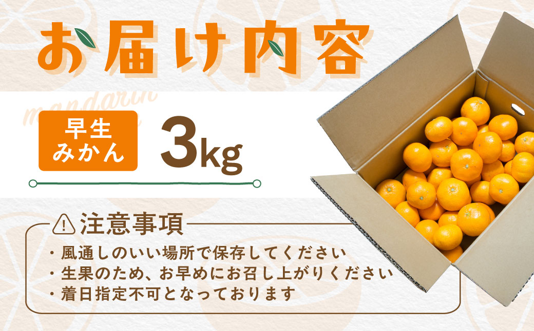 【先行受付】【数量限定】早生みかん（生果）3kg（2025年11月上旬より順次発送）IKTQ015