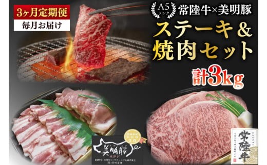 
                  【3ヶ月定期便】【常陸牛 A5ランク・美明豚ステーキ焼肉セット】常陸牛サーロイン600ｇ（300ｇ×２枚）＋美明豚400ｇ（ロース200ｇ・ばら200ｇ）【冷凍 国産牛 和牛 牛肉 豚肉 ブランド豚 茨城県 水戸市 食べ比べ セット商品 国産 BBQ】（EK-35_1）
                