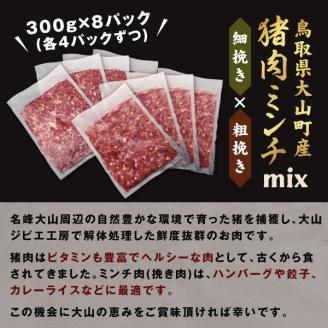 GB-15　猪肉ミンチ（ミックス）2.4kg（300g×8パック）