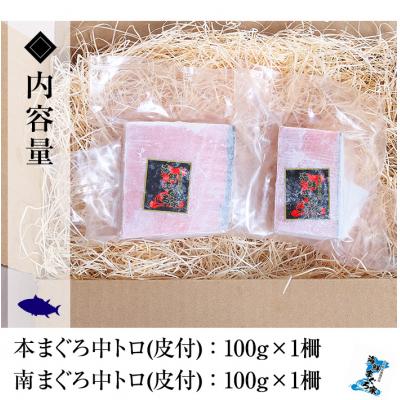 ふるさと納税 いちき串木野市 【ちょこっとプレミアム】天然高級まぐろ中トロ食べ比べ 計約200g |  | 02