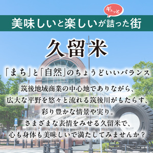 「久留米市」観光タクシー高級ハイヤー6時間貸切券【久留米タクシー株式会社】_久留米市 観光タクシー 高級ハイヤー 6時間 貸切券 5名様まで 移動 サポート まち 自然 グルメ ご希望の観光名所等へご