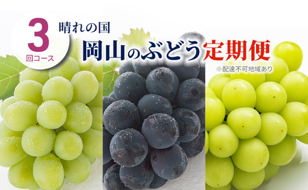 ぶどう 定期便 2027年 先行予約 晴れの国 岡山 の ぶどう定期便 3回コース