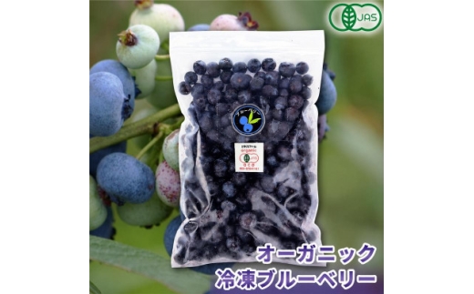 有機JAS認証 冷凍ブルーベリー3.5kg(500g×7袋)【北海道十勝産】【1743554】