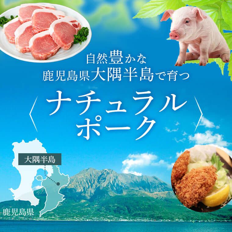 【B05043】厚切り鹿児島県産豚ステーキ＆豚ローススライス贅沢セット〈約2.2kg〉