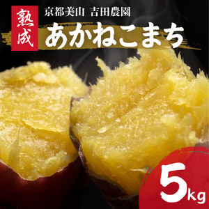 さつまいも 5kg 産地直送 さつまいも