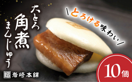長崎大とろ角煮まんじゅう10個 [CFE007] 角煮まん