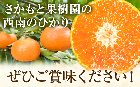 西南のひかり 約5kg さかもと果樹園 みかん