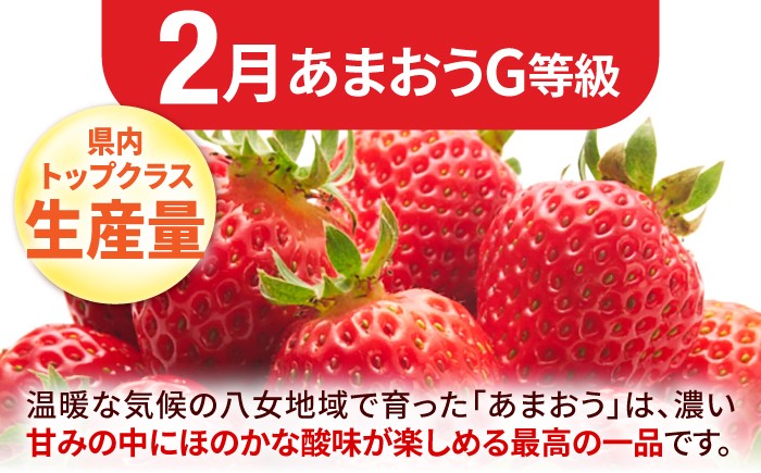 果物 フルーツ イチゴ ブドウ モモ