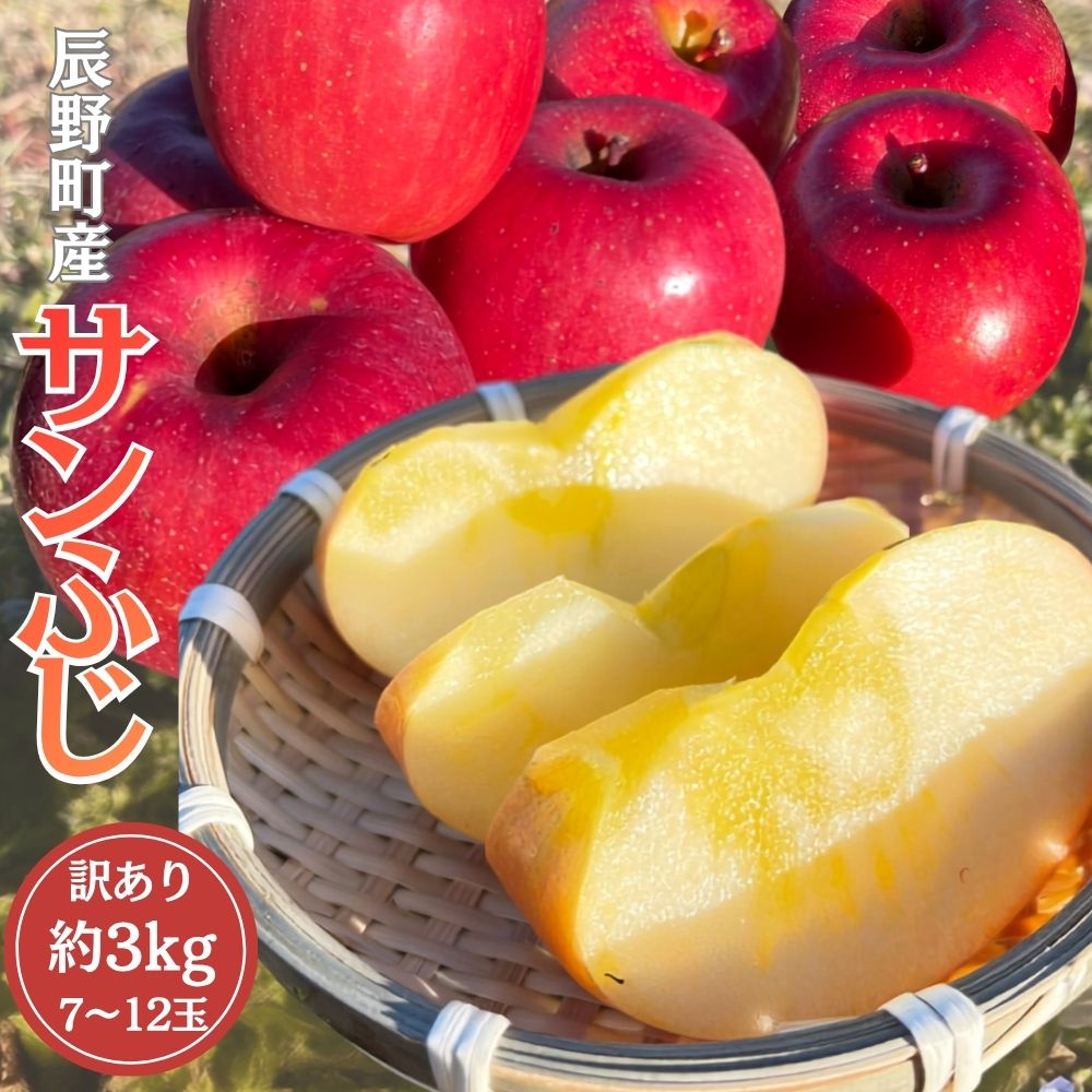 【ふるさと納税】395 先行予約 ※訳あり りんご サンふじ 約3kg 11月中下旬以降発送【野澤フルーツ農園】