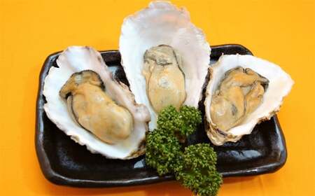 【牡蠣殻あり】わいわいの牡蠣のバター焼き 12個～16個 【 冷凍 便利 レンチン 湯銭 簡単 調理済み あたため レンジで 簡単お料理 人気 バター焼き 海鮮 牡蠣 かき カキ 岩手 陸前高田市 】