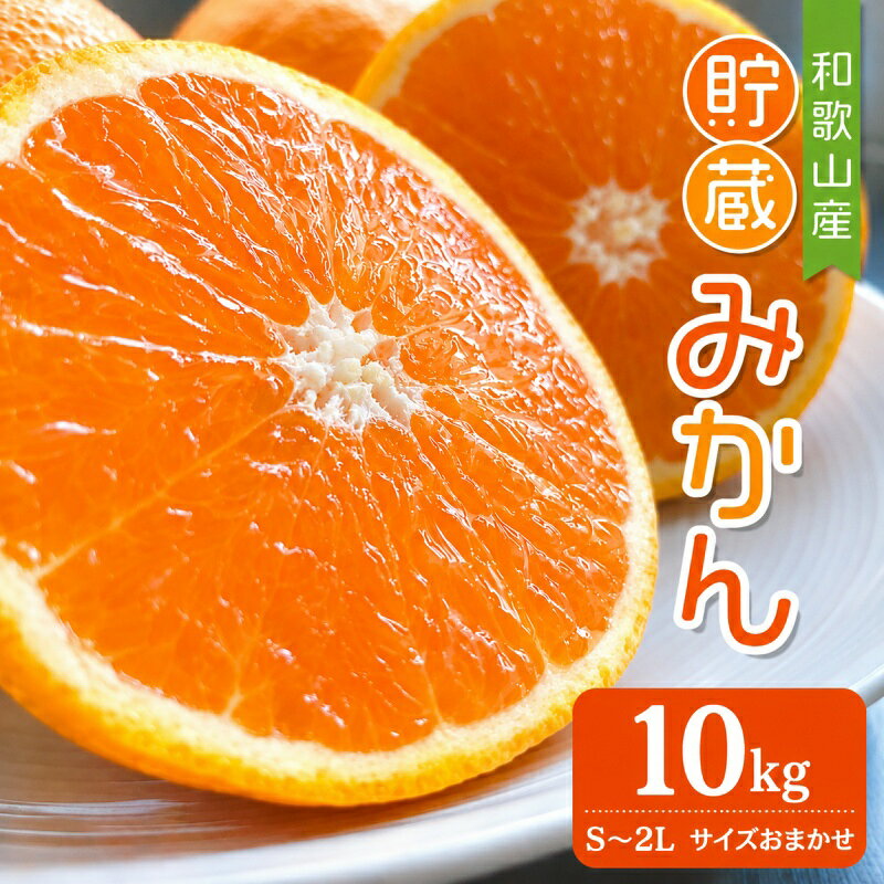 【ふるさと納税】貯蔵 みかん 10kg (S ～ 2L サイズおまかせ) / 蜜柑 果物 オレンジ 紀美野町産 ※2027年1月中旬～2月下旬に順次発送