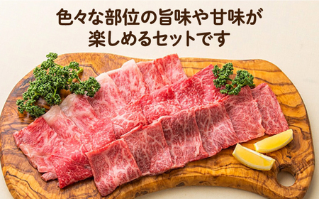 長崎和牛 焼肉3種セット 計600g （カルビ＆ロース＆赤身 各200g） 長与町/ワタナベ商店[ECT025]