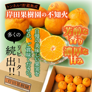 【先行予約】トンネルで貯蔵熟成/岸田果樹園の不知火 約3kg 令和8年2月下旬より出荷開始 _1439R