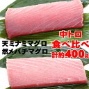 【ふるさと納税】こだわりの天然ミナミマグロ　天然メバチマグロ食べくらべセット　中トロ各1柵 mh013