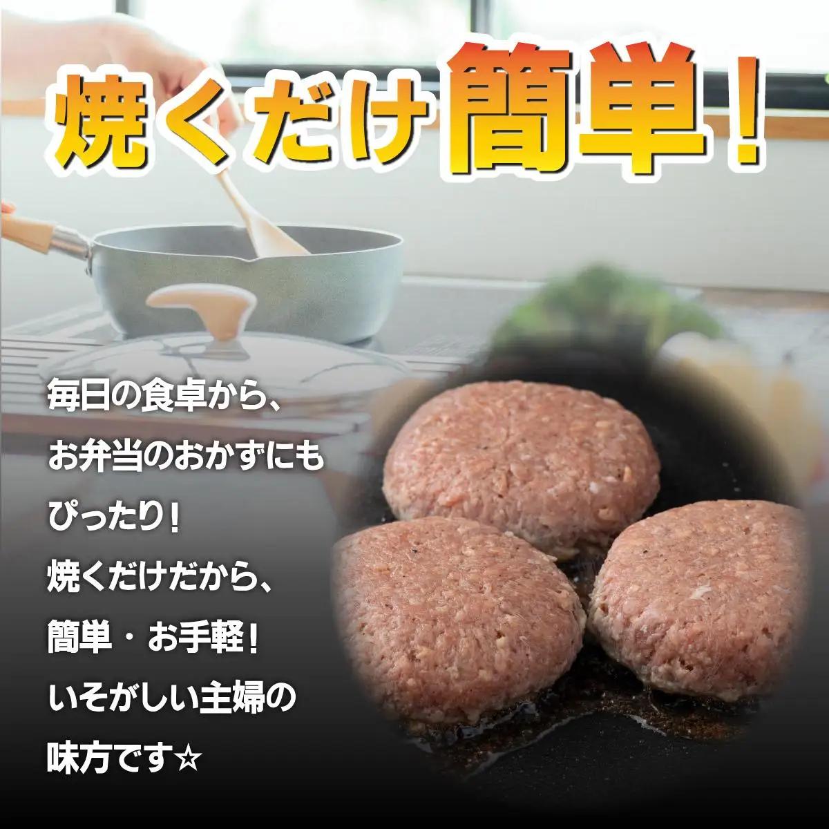 佐賀牛入り生ハンバーグ120g×24個  FN-Limited-VO