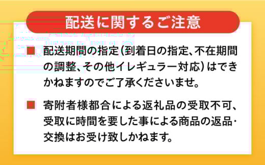【選べる容量！】温州みかん Lサイズ 津久井浜みかん 蜜柑 ミカン 果物 柑橘 フルーツ 横須賀【志村農園】 [AKGH003]