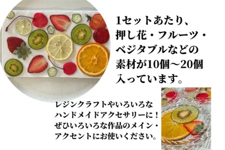 ハンドメイドパーツ 2種 セット押し 花 フラワー ドライフラワー ドライフルーツ ベジタブル