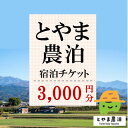 【ふるさと納税】【富山県】とやま農泊 宿泊チケット3,000円券×1枚【1588134】