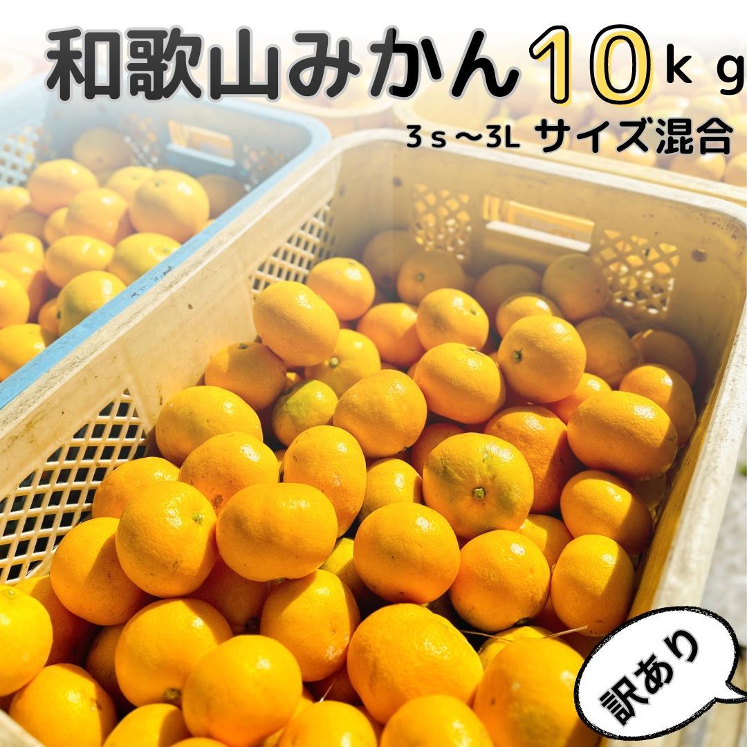【ふるさと納税】【訳あり】和歌山みかん 約9.5kg+補償分約500g サイズ混合 11月より順次発送 訳ありみかん 【red1】 | みかん 蜜柑 フルーツ 果物 くだもの 食品 人気 おすすめ 送料無料 産地直送