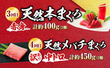 【全6回定期便】まぐろ 豪華 食べ比べ 定期便 [AKAK123]マグロ定期便