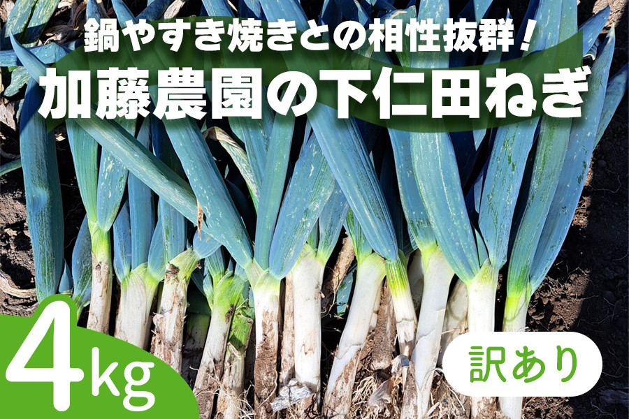 
            [数量限定]【訳あり】産地直送！加藤農園の下仁田ねぎ 4kg (細め) 2025年11月下旬より順次発送｜先行予約 訳あり品 冬の味覚 下仁田ネギ 鍋 すき焼き 葱 ネギ 殿様ねぎ かき揚げ 国産 甘楽町産 群馬県産 産地直送 [0308]
          