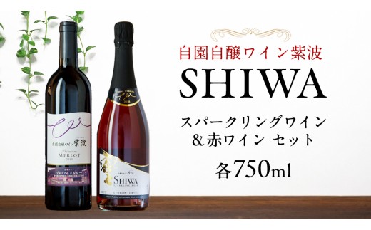 スパークリングワイン・赤ワインセット【自園自醸ワイン紫波】