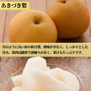 【先行予約限定】 茨城県産【あきづき梨】約5kg【茨城県共通返礼品　かすみがうら市産】※2025年9月上旬～10月下旬頃に順次発送予定 ※離島への配送不可