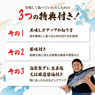＜3回定期便＞違いの分かる鮮魚店店長が送る 高知のお魚定期便！！ 海鮮 魚 さかな 新鮮 カツオのタタキ 金目鯛 真鯛 ネギトロ 天然アユ など 旬 季節 定期便 お楽しみ 定期コース 3ヶ月 年3回