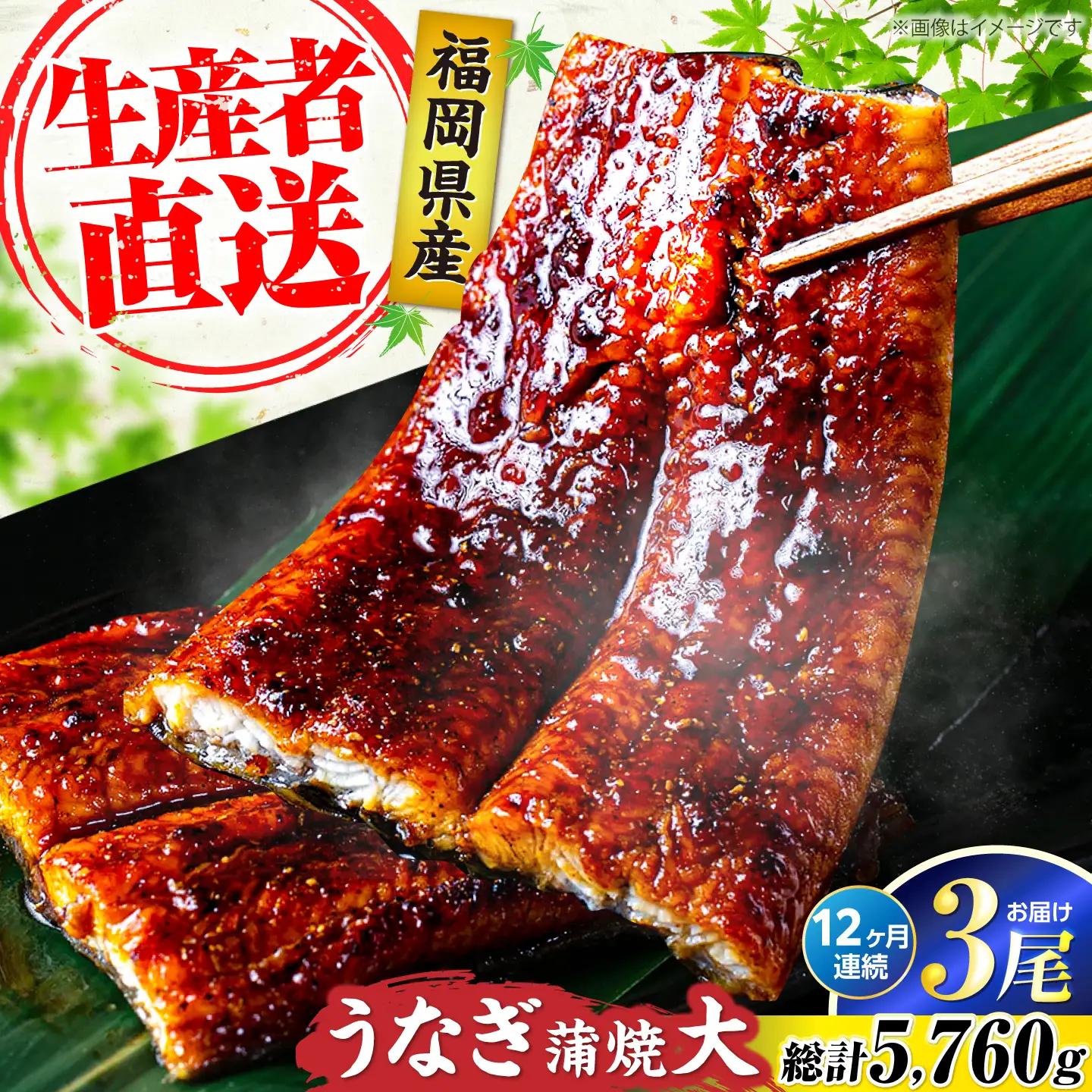 【全12回定期便】福岡県産 うなぎ 蒲焼 大3尾 VAD016 うなぎ