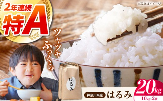 【先行予約】令和8年産 新米 はるみ 20kg （10kg×1袋）単品 | 米 お米 こめ 小分け 人気 コメ お米 20kg ブランド米 開成町 家庭用 送料無料 神奈川 かながわ 神奈川県 開成 開成町 人気 ごはん 米 おこめ お米 新米 こめ ライス rice kome ごはん ご飯 コメ ブランド米 精米 人気 おすすめ 5キロ R8 20kg 国産 特A [BDAF003]