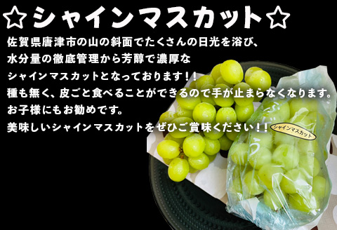 『先行予約』【令和7年9月中旬より順次発送】シャインマスカット2kg 3房~4房 葡萄 ぶどう 果物 フルーツ スイーツ