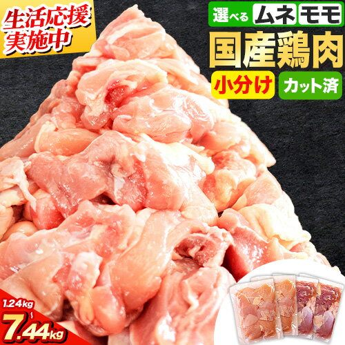 【ふるさと納税】＼生活応援実施／鶏肉 小分け 発送時期 も選べる 鶏肉 鶏肉 もも肉 or むね肉 or ハーフセット カット 若鶏1.24kg〜7.44kg《7-14日以内に出荷予定(土日祝除く)》定期便 ふるさと納税 肉 鶏肉 鶏 鶏モモ 鶏ムネとり肉 訳あり 冷凍 もも肉 簡易包装