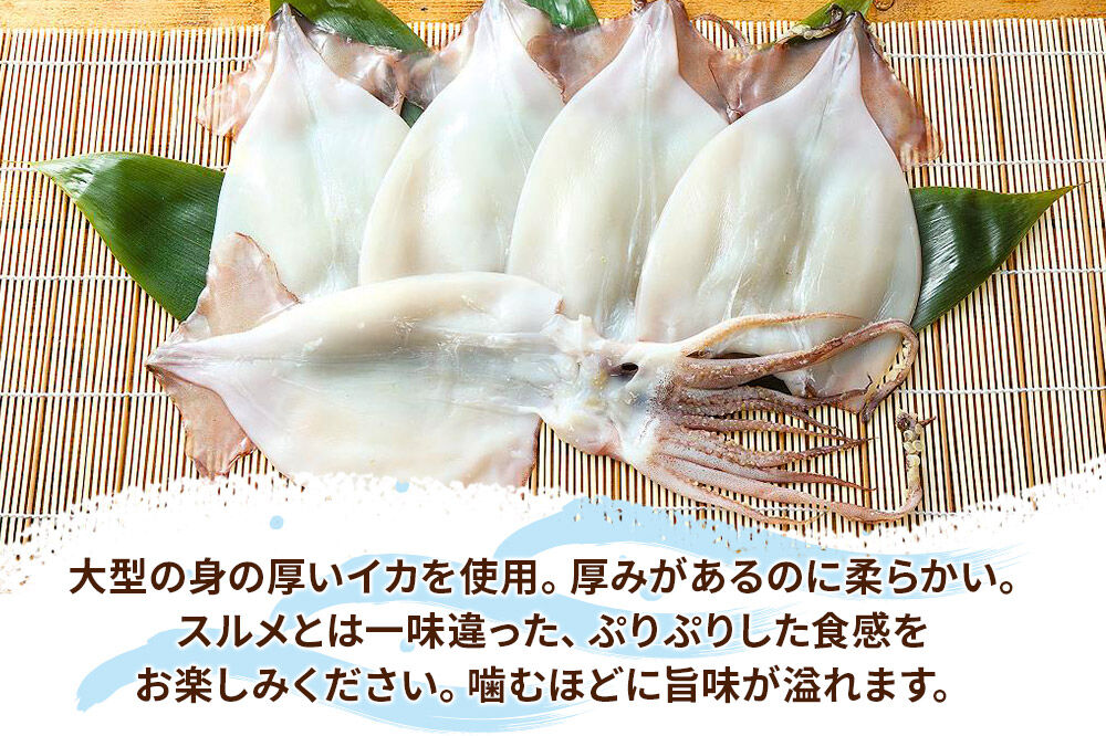 イカの開き 5枚 干物 冷凍 [おつまみ 酒の肴 イカ いか 肉厚 やわらか 八峰町]