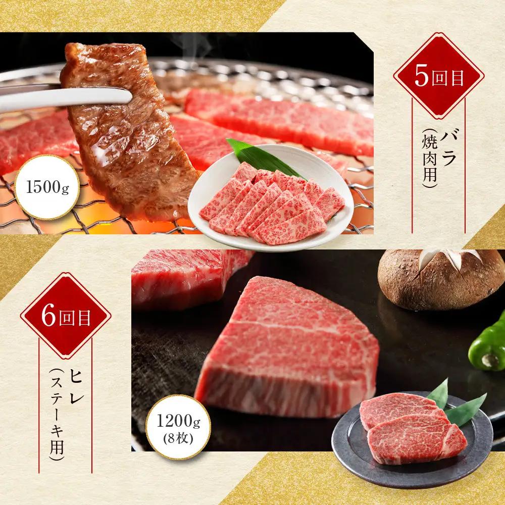＜定期便６回＞【京都モリタ屋】京都肉食べ比べ(2)｜老舗牛肉店 名店 自慢の肉質 人気セット 牛肉