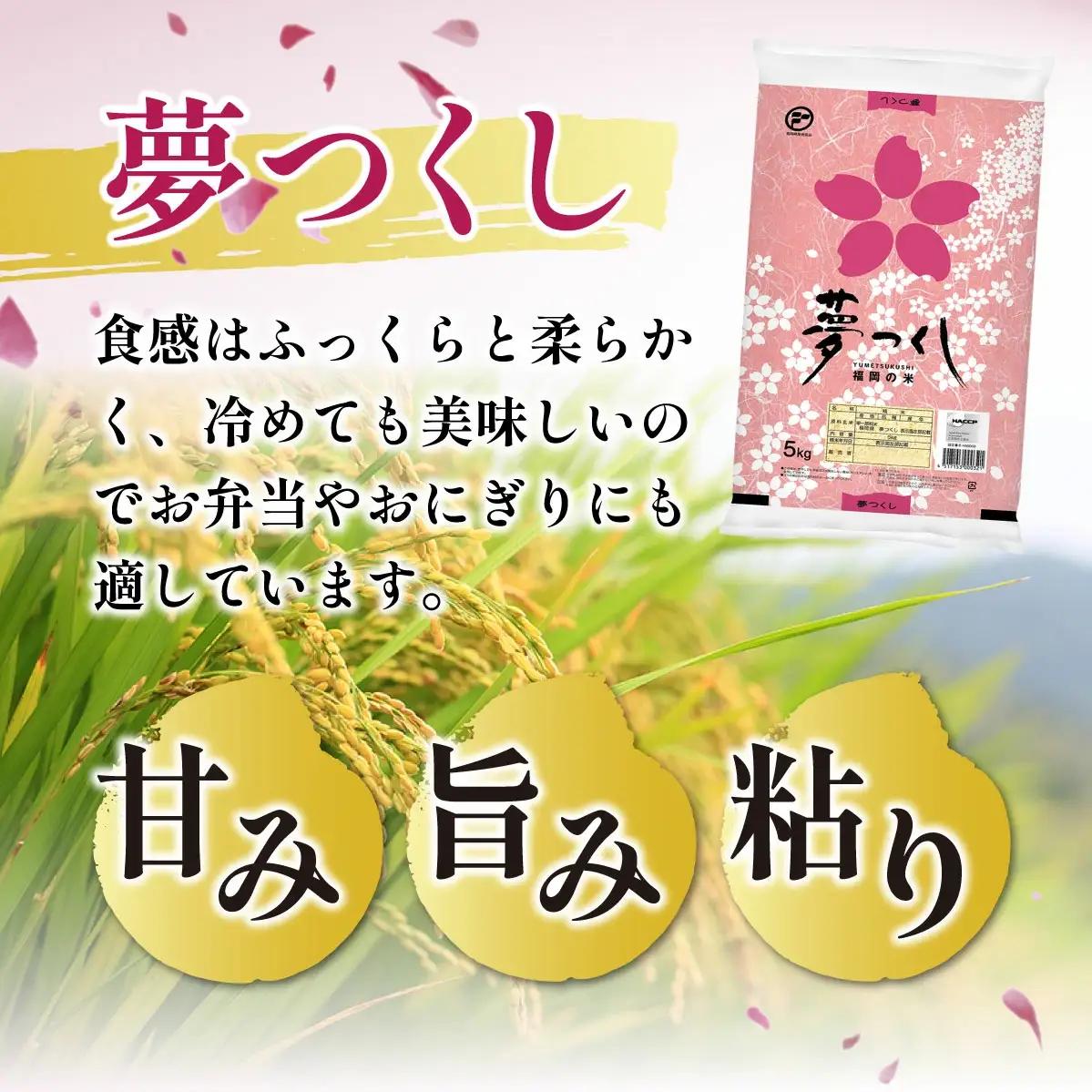 【定期便：12ケ月】令和７年産 福岡県産米 夢つくし 10kg 精米 CY009sub12