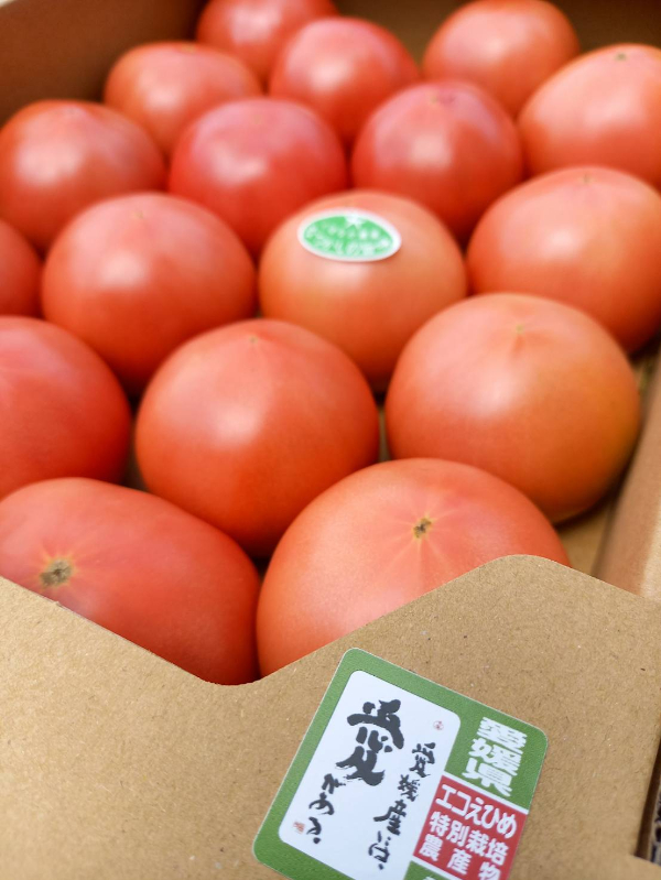 トマト 4kg 20玉～28玉 麗月 くぼなか農園 | B362