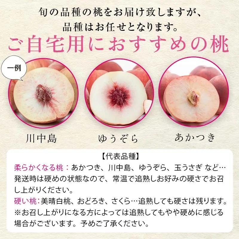 山形県産 白桃 ご自宅用 品種おまかせ 4.5kg もも フルーツ 【FSY-2742】