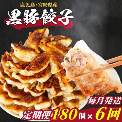 ふるさと納税 下関市 訳あり 黒豚餃子  6回 毎月 12個×15パック 冷凍 小分け たれ付き 大容量 IB019