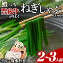 【ふるさと納税】ねぎしゃぶ(6品)ねぎしゃぶ しゃぶしゃぶ 豊後牛 鱧 はも 鍋 お鍋 セット【101500300】【菊水旅館】