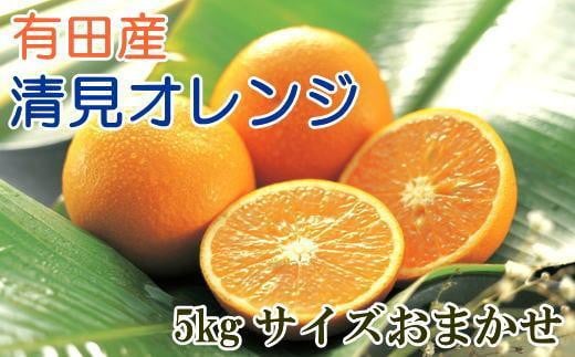 
【濃厚】有田産清見オレンジ約5kg（サイズおまかせ・青秀以上）★2025年2月中旬～3月中旬頃順次発送【TM43】
