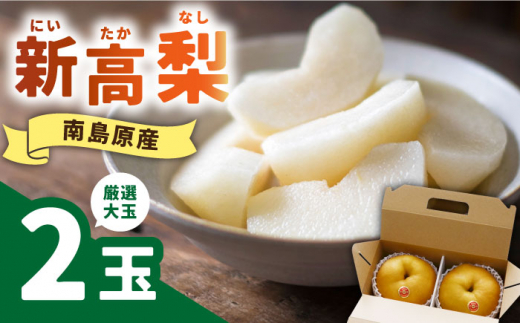 梨【2026年9月中旬～発送】【シャリッと食感がたまらない！】新高梨 2玉 / 梨 果物 フルーツ ナシ なし おすすめ 人気 くだもの ふるーつ 先行予約 大玉 2玉 新高梨 梨 なし ナシ ナシ nashi / 南島原市 / ふるさと企画 [SBA007]