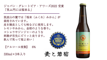 【 お歳暮 熨斗付 】 2年連続！《 ジャパン・グレートビア・アワーズ 受賞 》 クラフトビール 2種 計 6本 セット 飲み比べ 茨城県産 牛久醸造場 330ml × 6本 ビール 地ビール クラフ