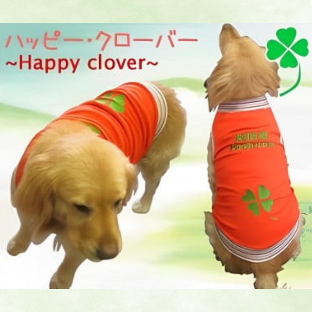 超大型犬用 犬服 【男の子用】